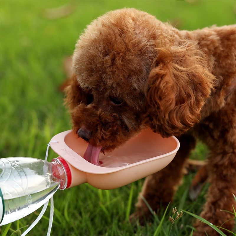 Portable Pet Water Bottle Travel Drinking Water Bottle Dog Cat Feeder Outdoor Water Bowl Supplies